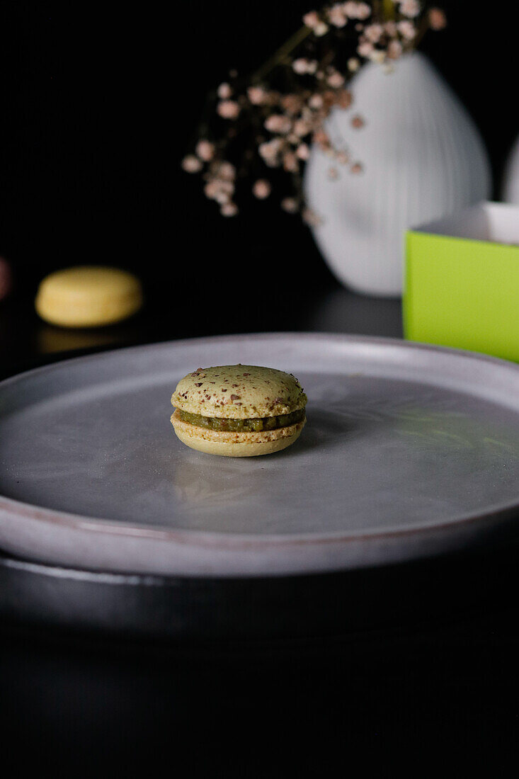 Macaron on ceramic plate