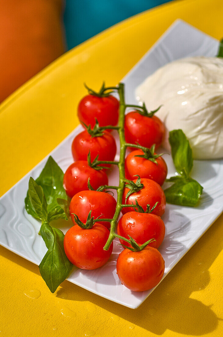 Strauchtomaten mit Mozzarella und Basilikum