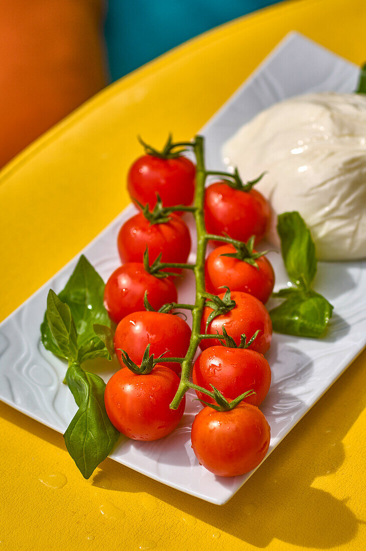 Vine tomatoes with mozzarella and basil