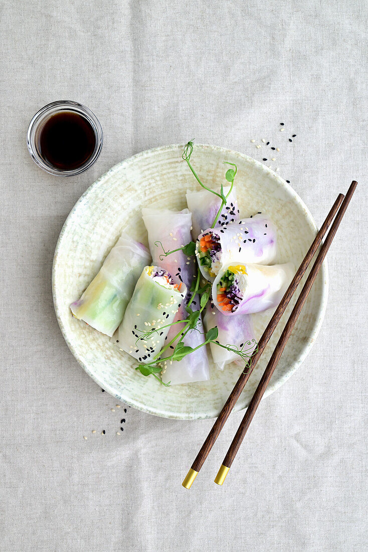 Sommerrollen mit Glasnudeln, Käse, Gurke, Karotte, Rotkohl und Paprika