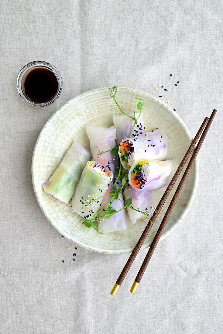 Summer rolls with glass noodles, cheese, cucumber, carrot, red cabbage, and pepper