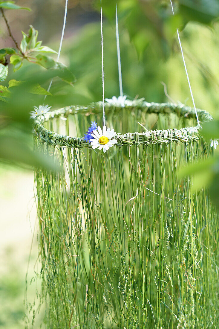 Midsommar-Gräserkrone mit Gänseblümchen, skandinavische Tradition zur Sommersonnwende