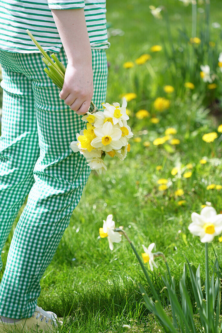 Person holding a bouquet of daffodils