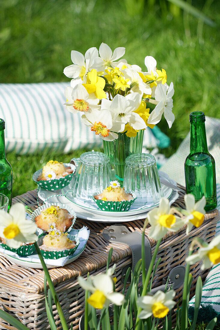 Picknick auf der Wiese mit Narzissen und Muffins