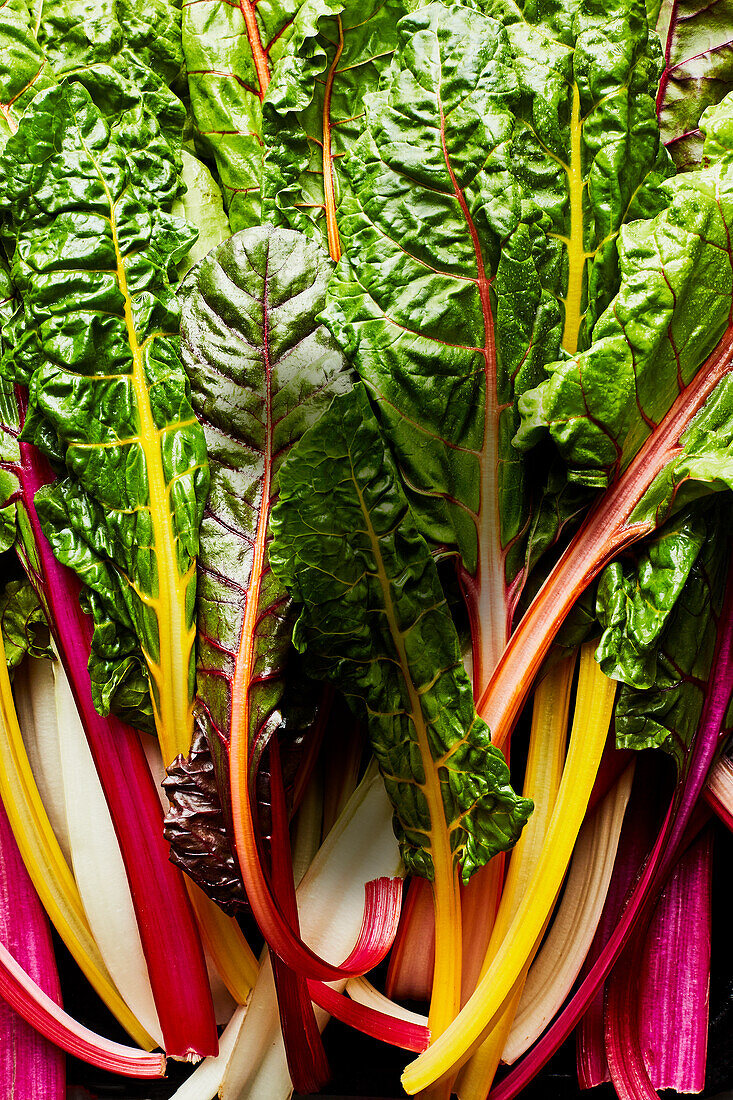 Rainbow chard