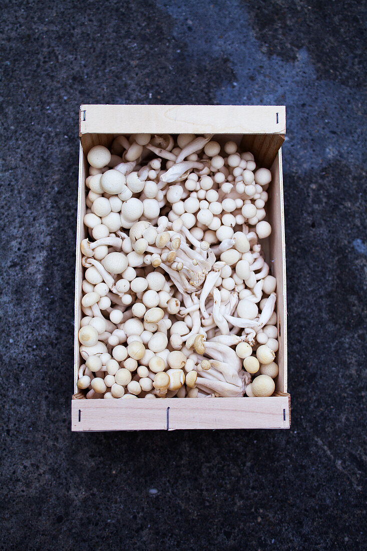 Weiße Champignons in einer Kiste