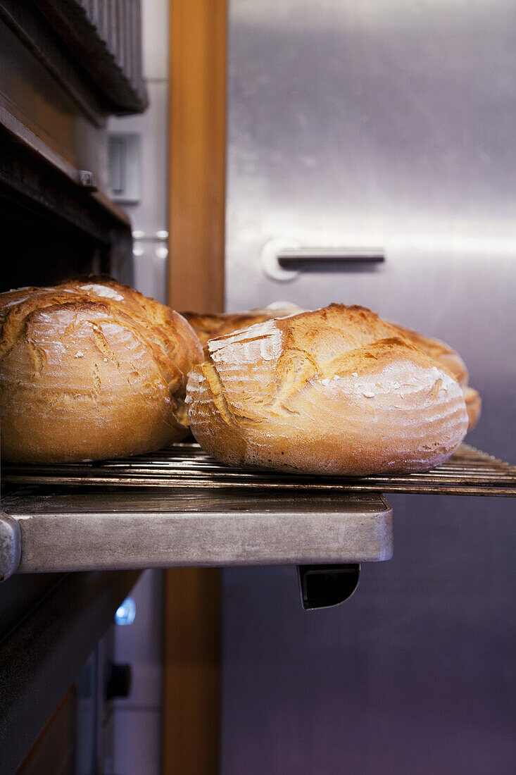 Freshly baked farmer's bread