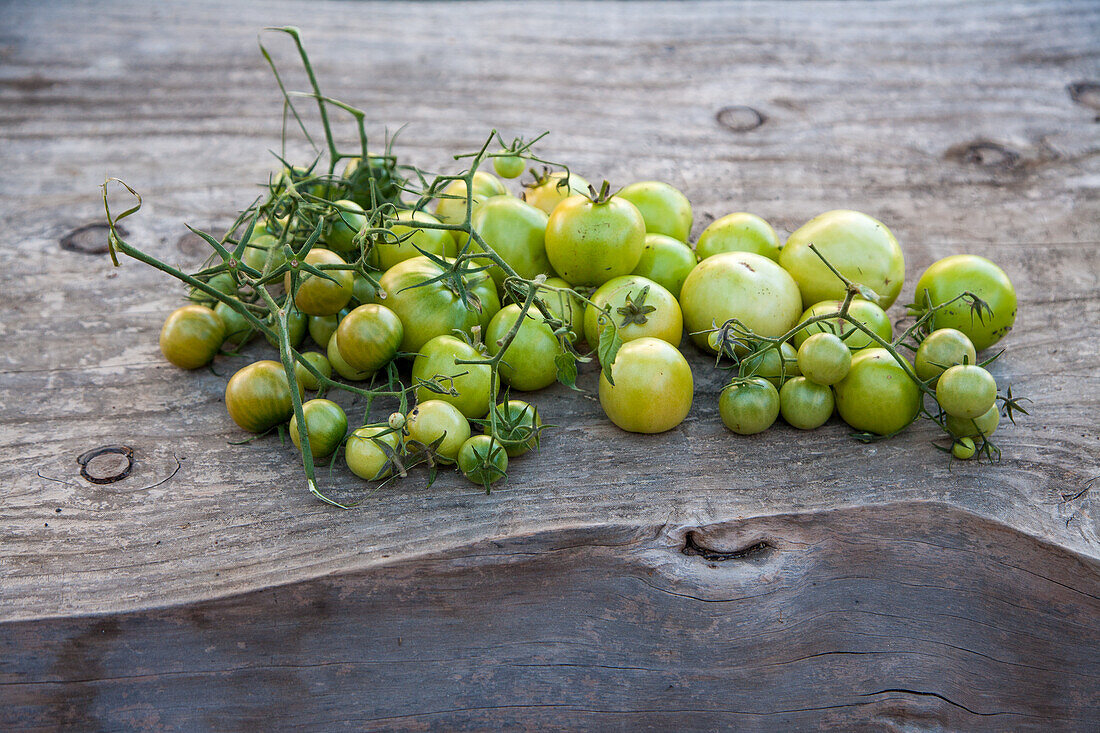 Grüne Tomaten auf Holzuntergrund