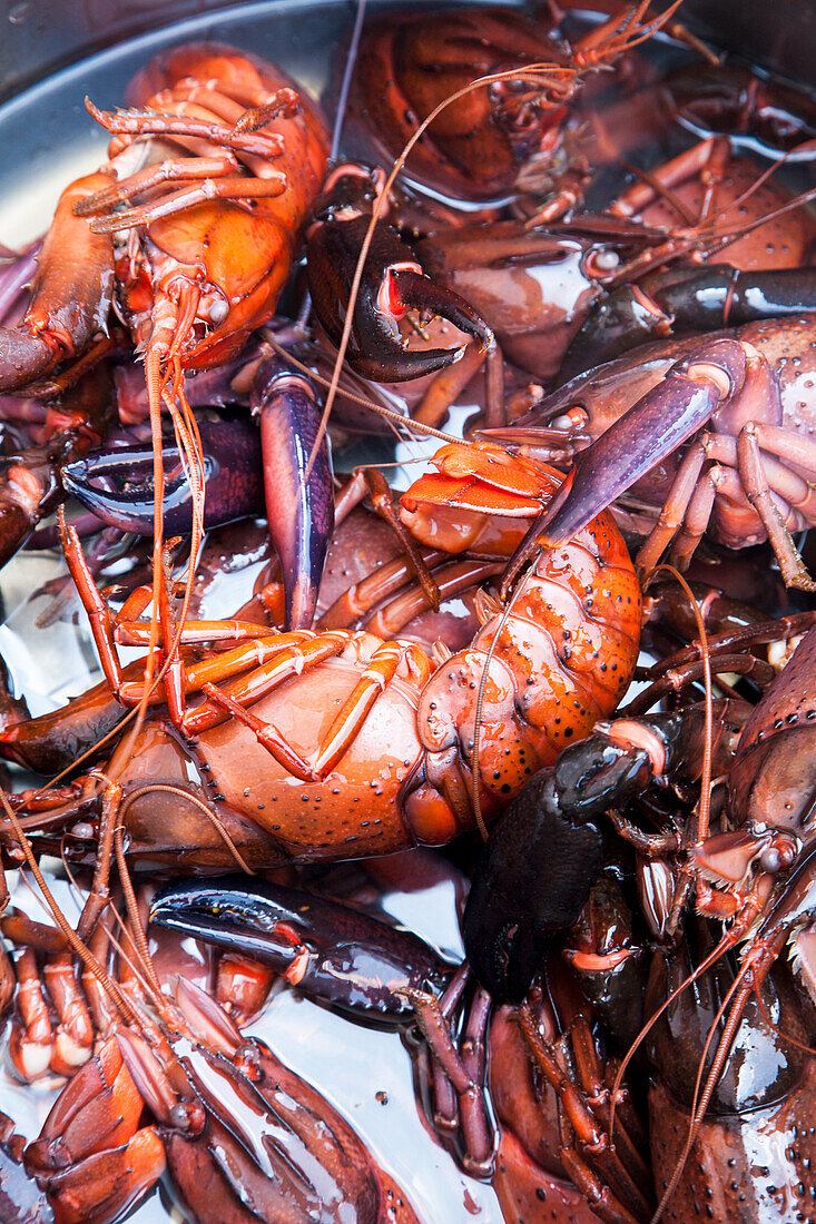 Cooked blue crayfish