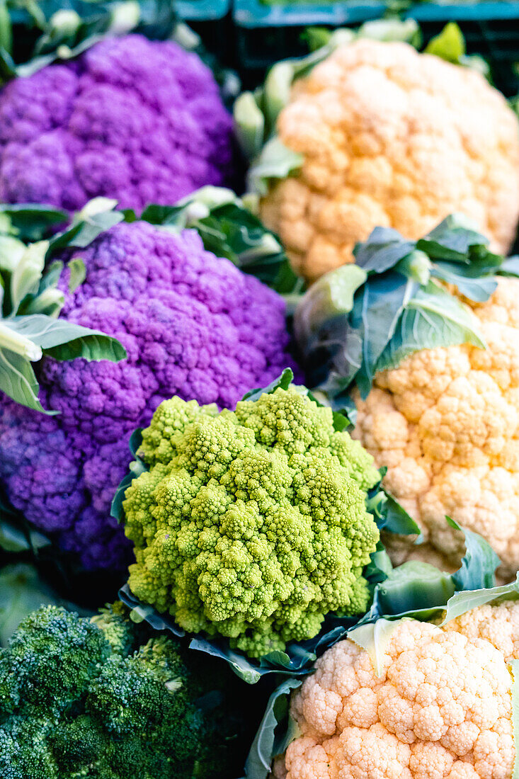 Weißer und violetter Blumenkohl, Brokkoli und Romanesco auf dem Markt