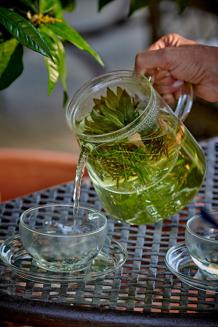 Herb infusion