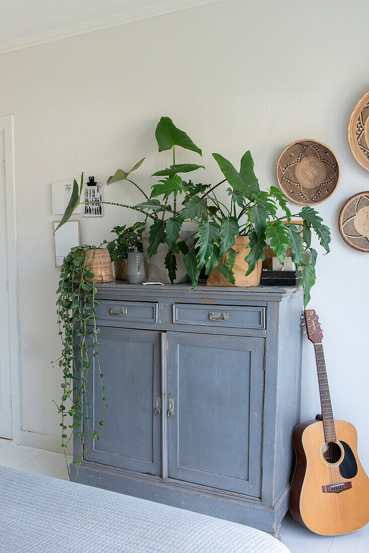 Old grey wooden chest of drawers with indoor plants and decoration with ethnic elements