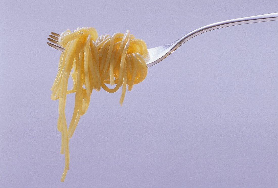 Spaghetti Twirled around a Fork