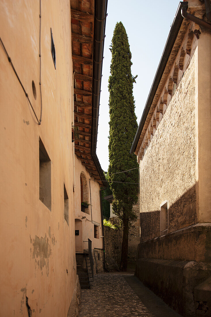 Alley in San Daniele, Friuli-Venezia Giulia, Italy