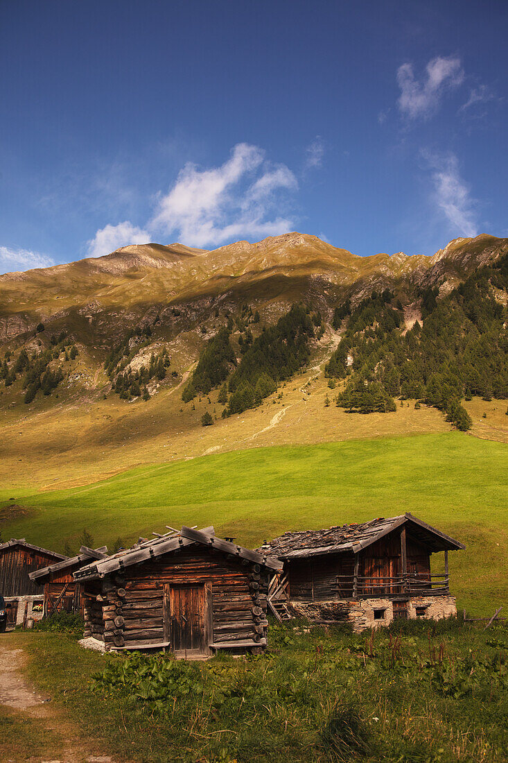 Alpine pasture landscape, South Tyrol, Italy