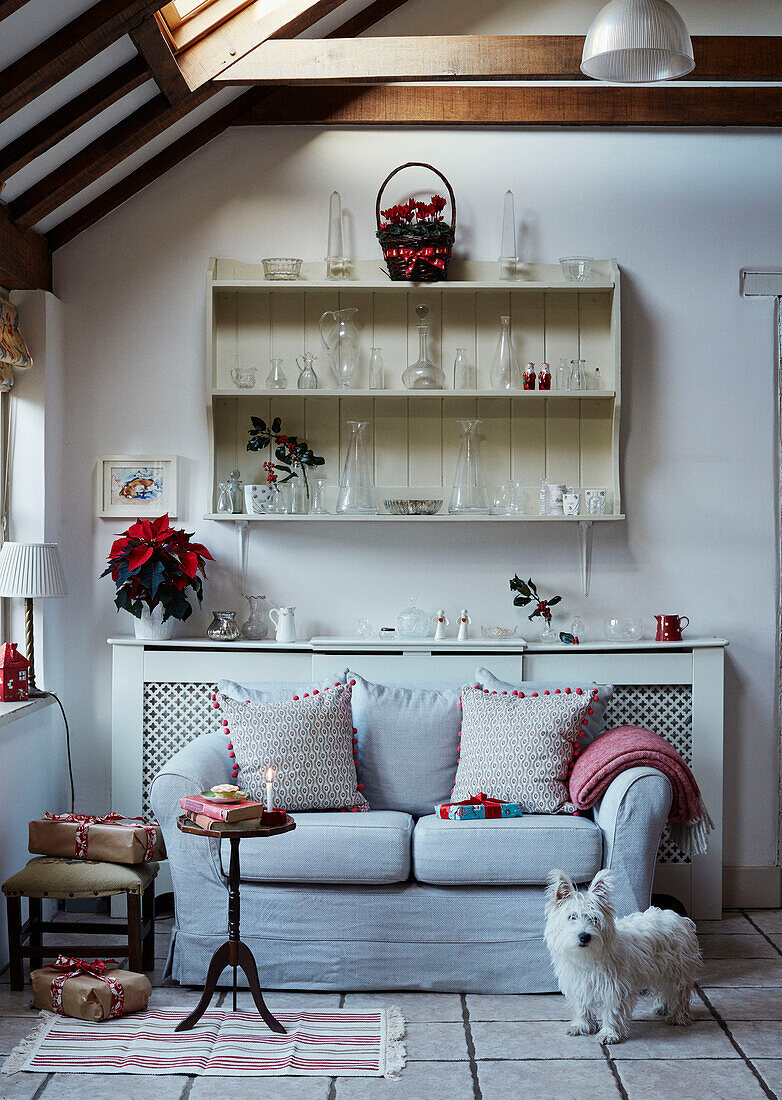 Pet dog in front of two seater sofa with glassware on wall mounted shelving