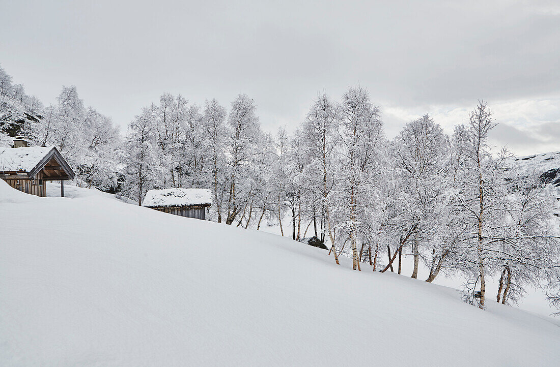 Blick auf die Sauna von Litlestol in einer Holzhütte in den Bergen von Sirdal, Norwegen