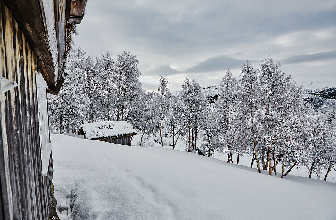 Blick auf die Sauna von Litlestol in einer Holzhütte in den Bergen von Sirdal, Norwegen