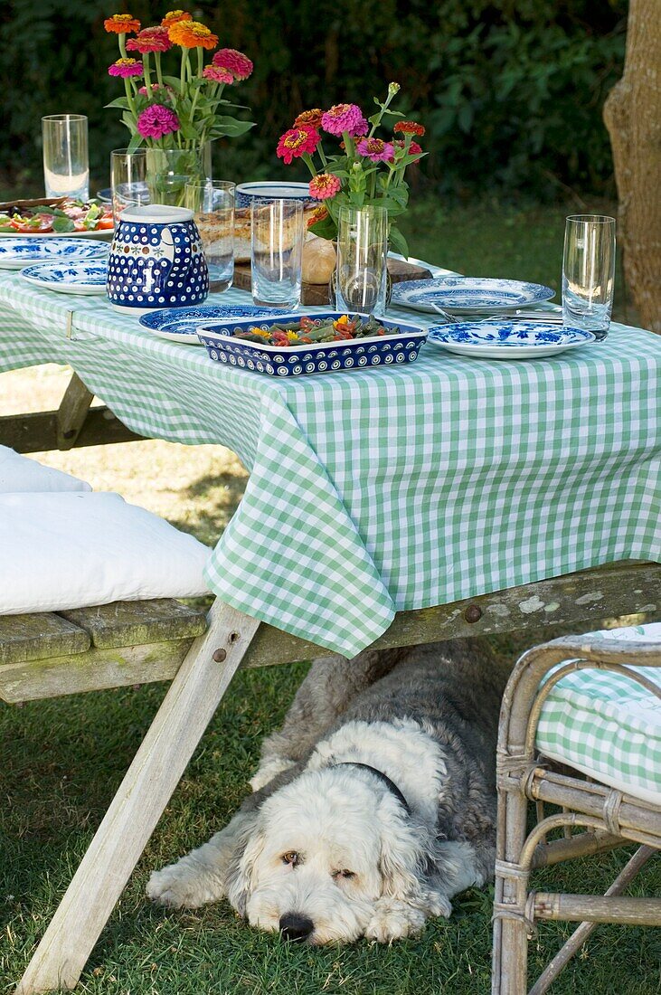 Hund entspannt sich unter gedecktem Gartentisch,