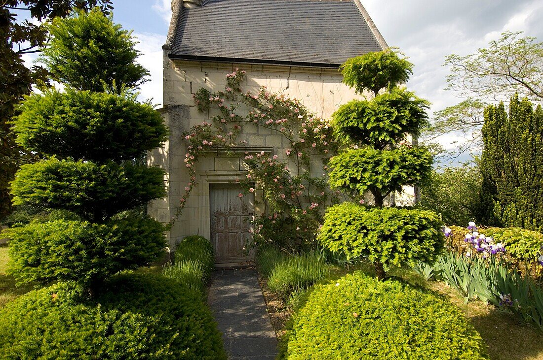 Building with climbing ivy in garden