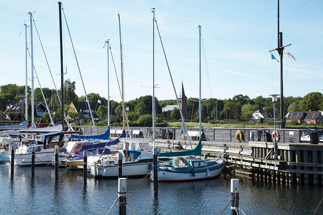 Boats in a harbor