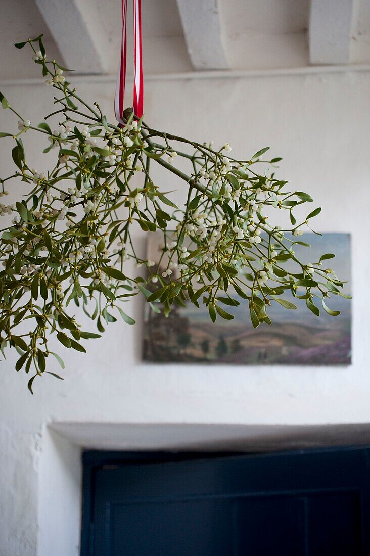 Mistletoe hanging in entrance hall, close-up