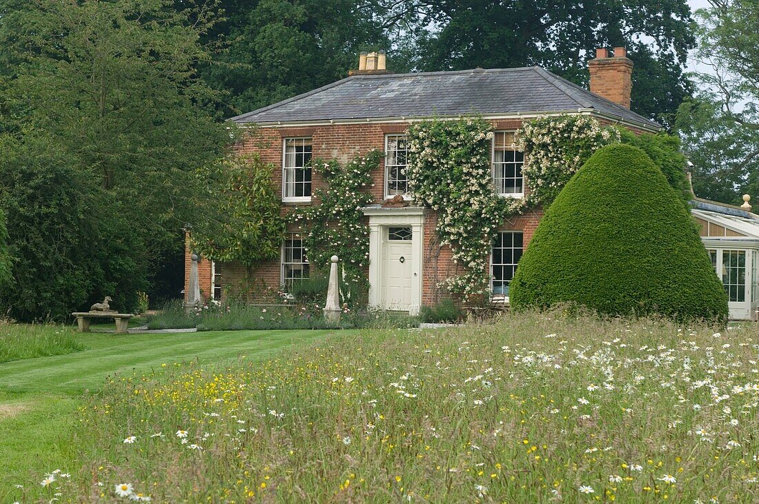 Country cottage with flourishing plant on wall