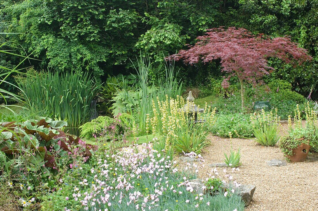 Landhausgarten mit blühenden Blumen