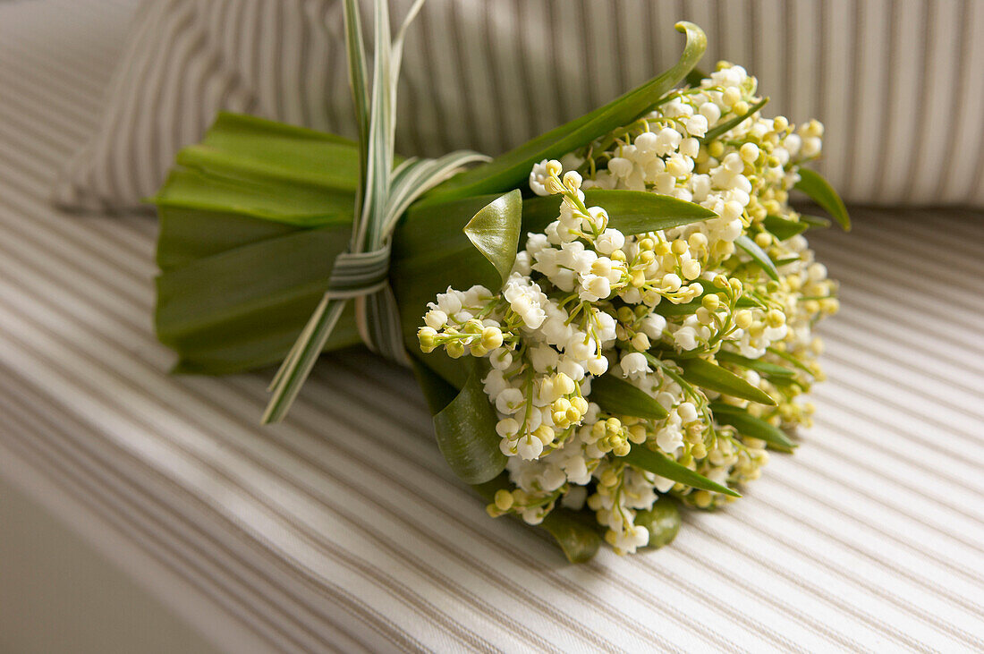 Strauß weißer Blumen auf einem Sofa