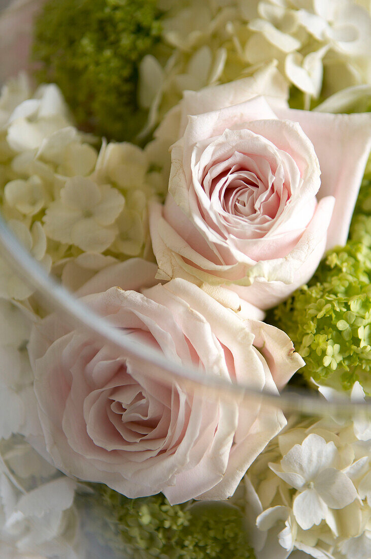 Detail of fresh cut flowers 