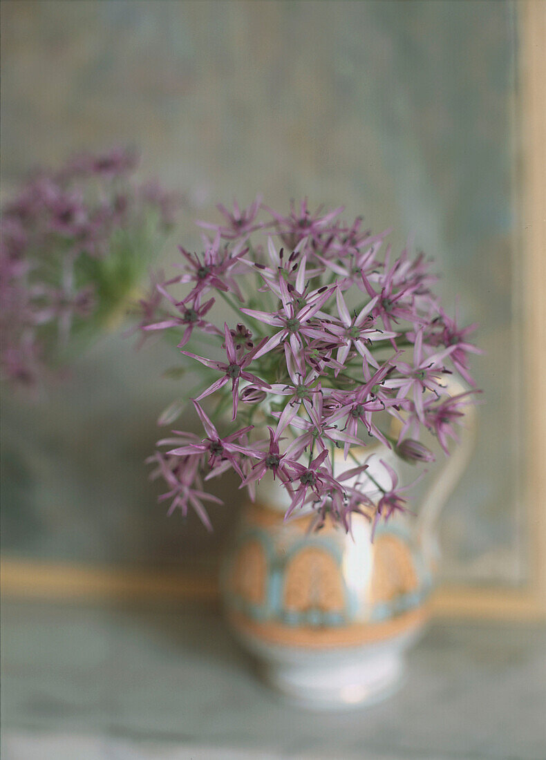 Einzelne lila Allium in einem glasierten Steingutkrug