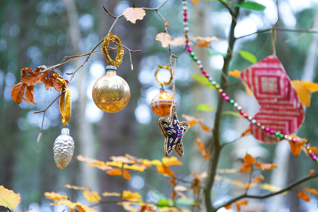 Christmas decorations on a tree in a forest