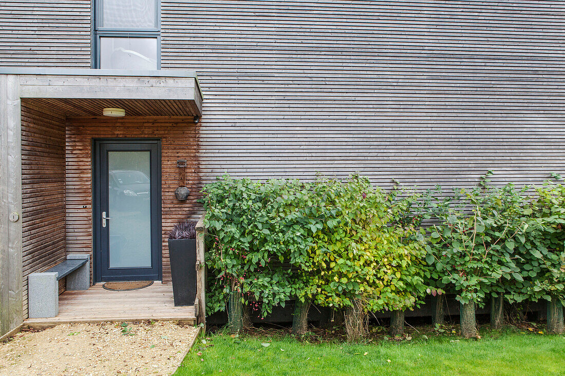 Frosted doorway in porch entrance with shrubs on exterior of Lakes home, England, UK