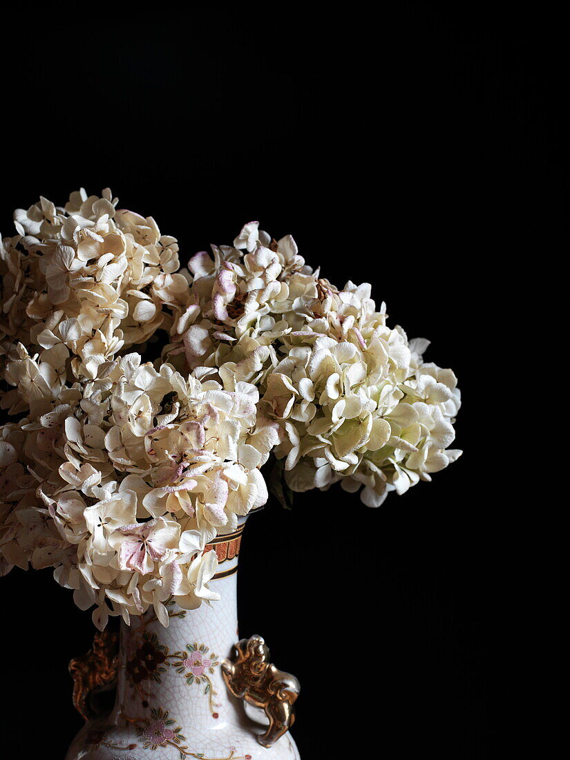 Dried flowers in china vase Southend-on-sea Essex England UK