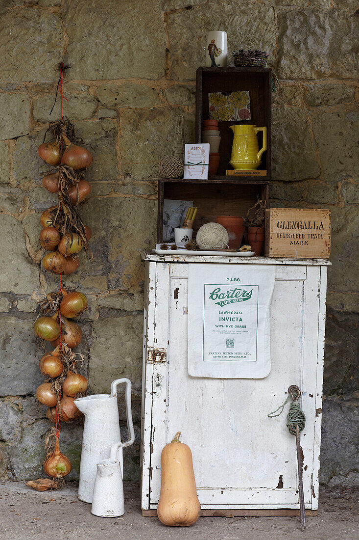 Onions hanging on stone wall with gardening cupboard in St Lawrence, Isle of Wight, UK