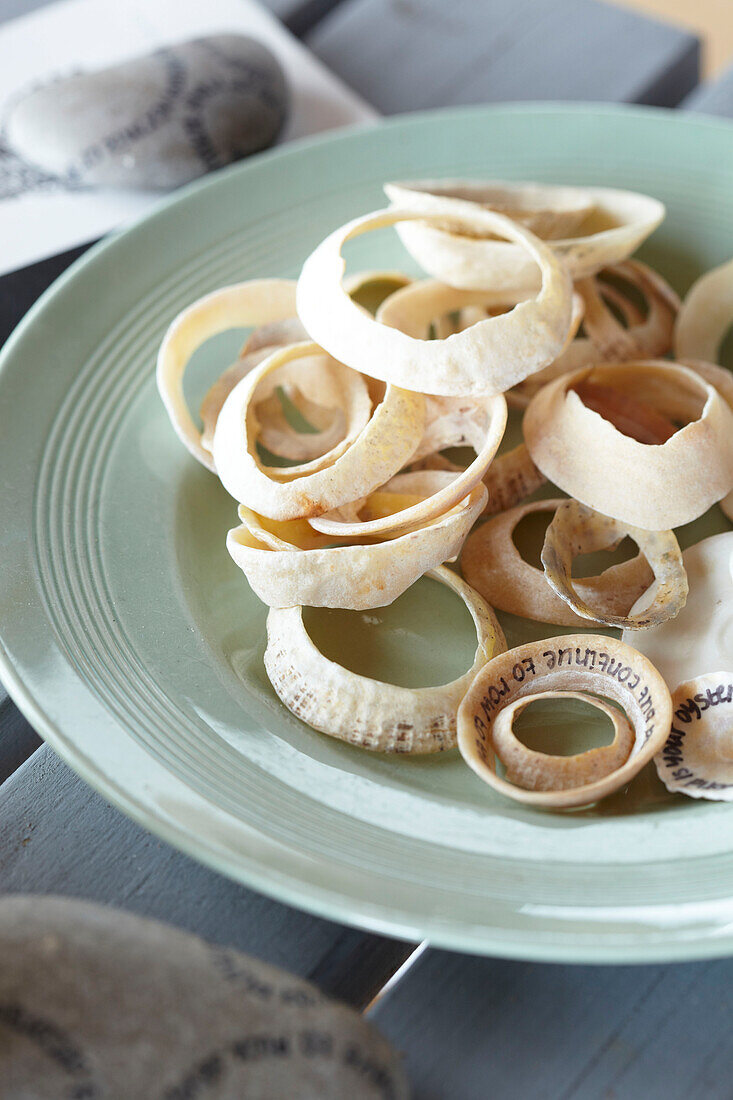 Eroded seashells on light green bowl in Bembridge houseboat Isle of Wight, UK