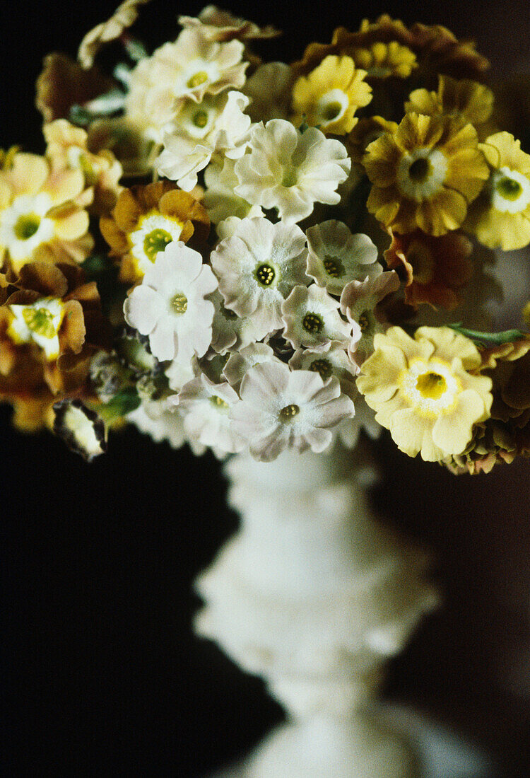 Detail of bouquet of Auriculars in a stone vase