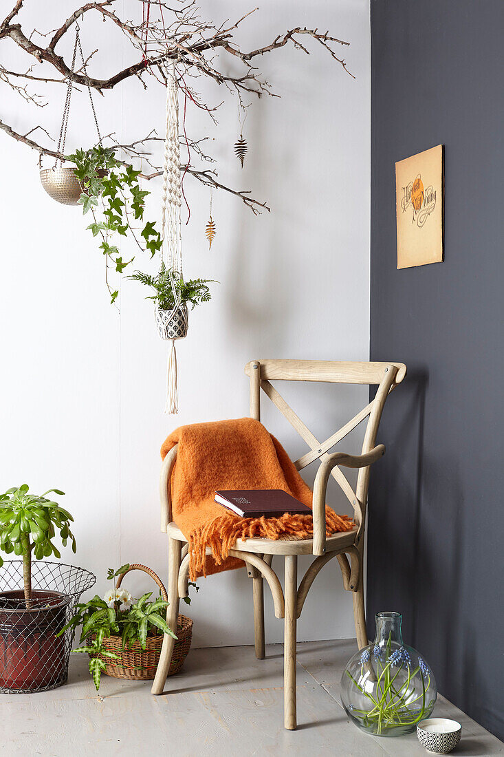 Indoor-Gartenarbeit Zweig mit hängenden Körben und Retro-Stuhl
