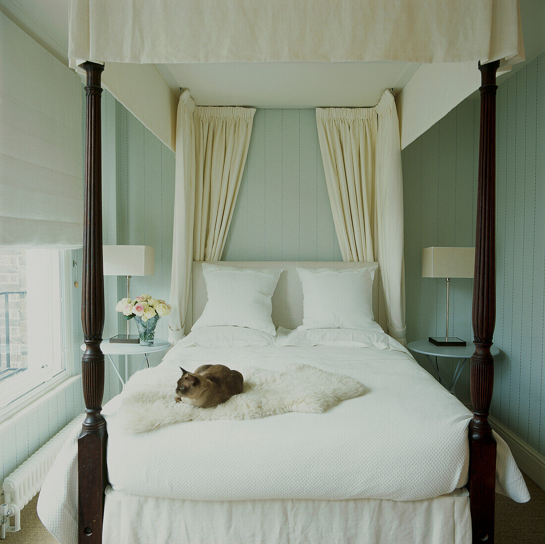Cat asleep on four poster bed