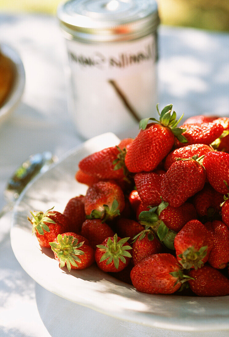 Schale mit frischen, ganzen, roten Erdbeeren auf einem Gartentisch mit Zuckerdose im Hintergrund