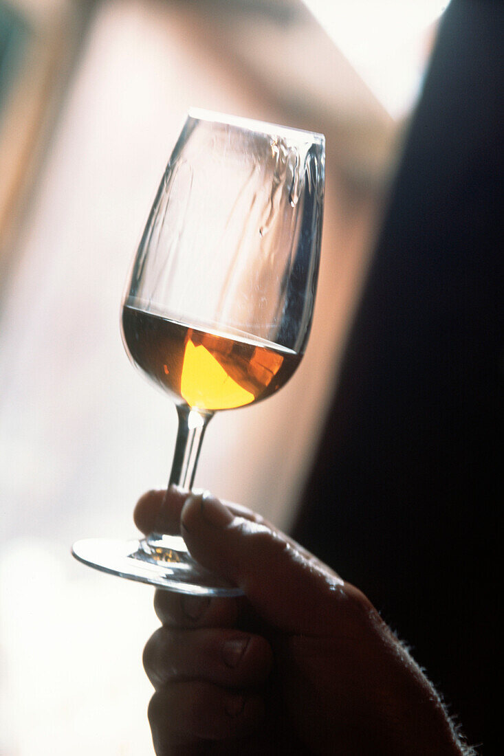 man holding a glass tasting apple brandy