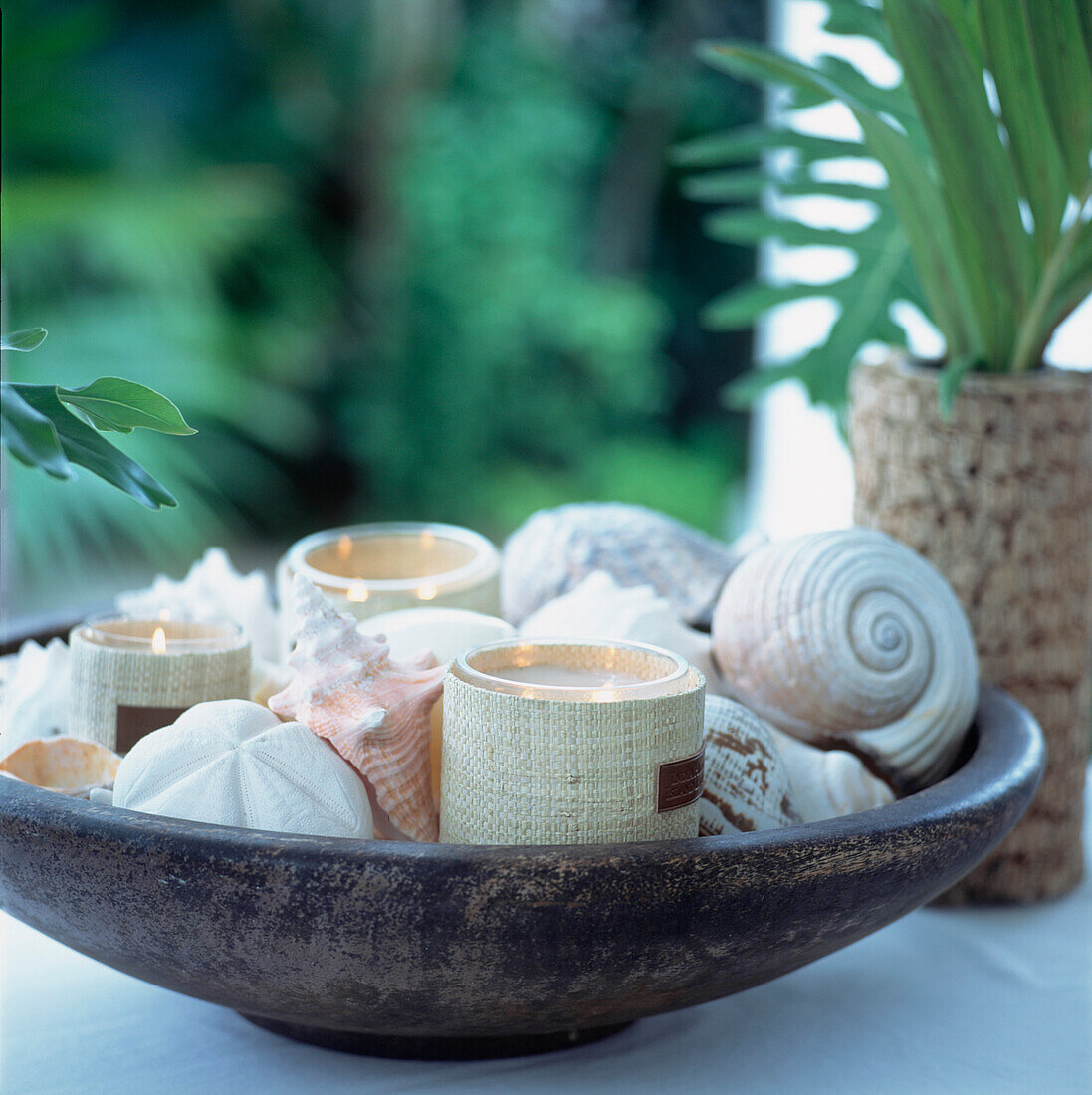 Scented candles lit and twinkling in a wooden bowl full of seashells on a table top