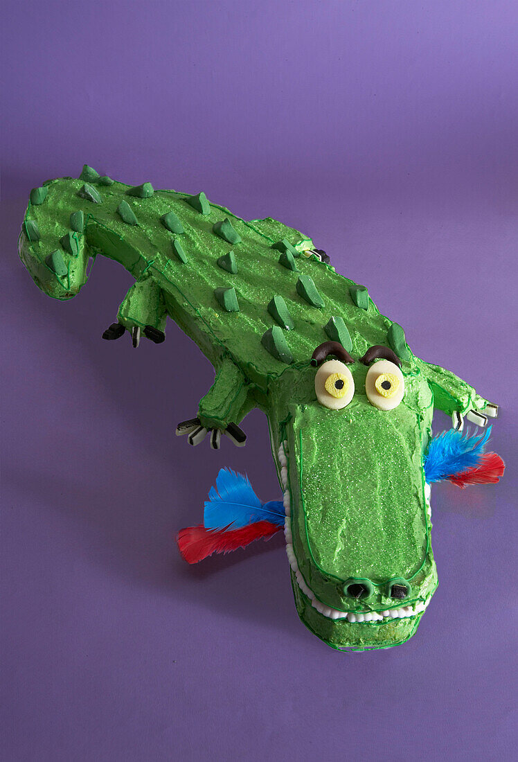 Crocodile shaped birthday cake