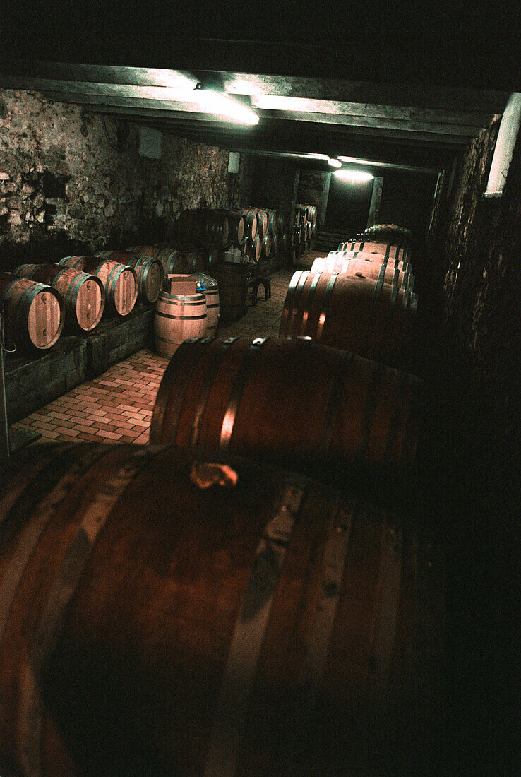 Fässer mit Wein im Keller