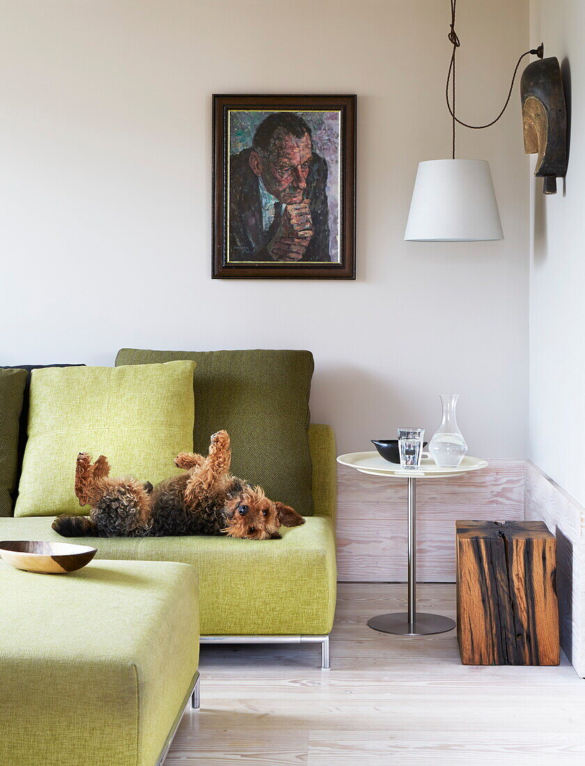 Dog lying on lime green sofa with cushions and artwork in contemporary London home, England, UK