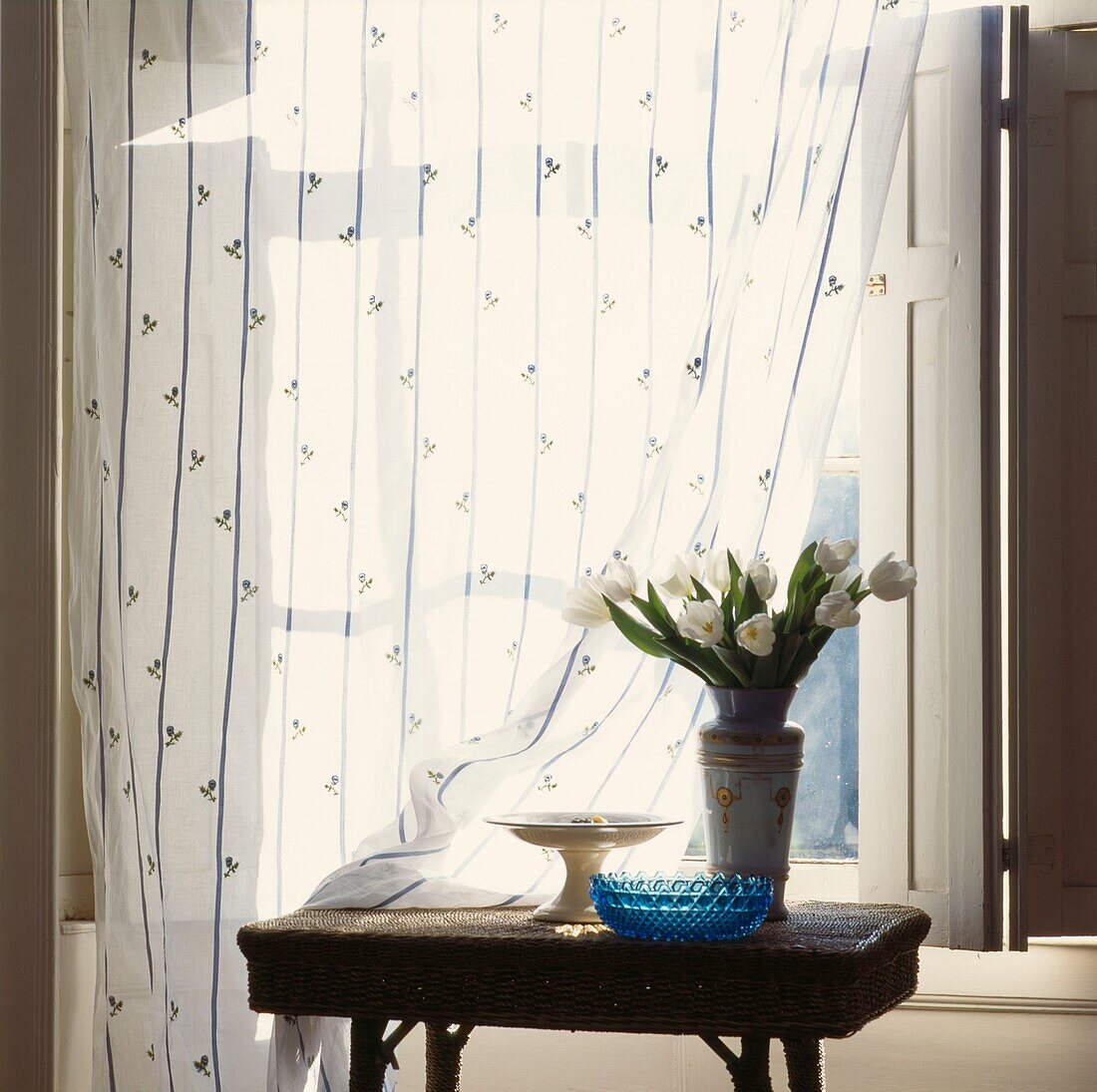 Vase of white tulips on side table at curtained window