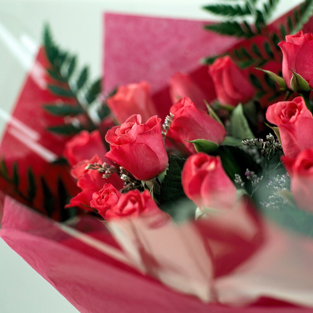Wrapped Bouquet of red roses