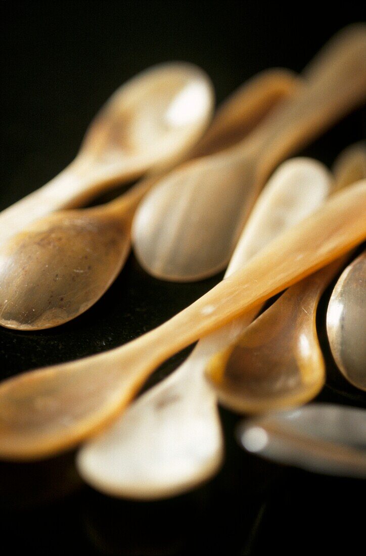 Group of horn spoons