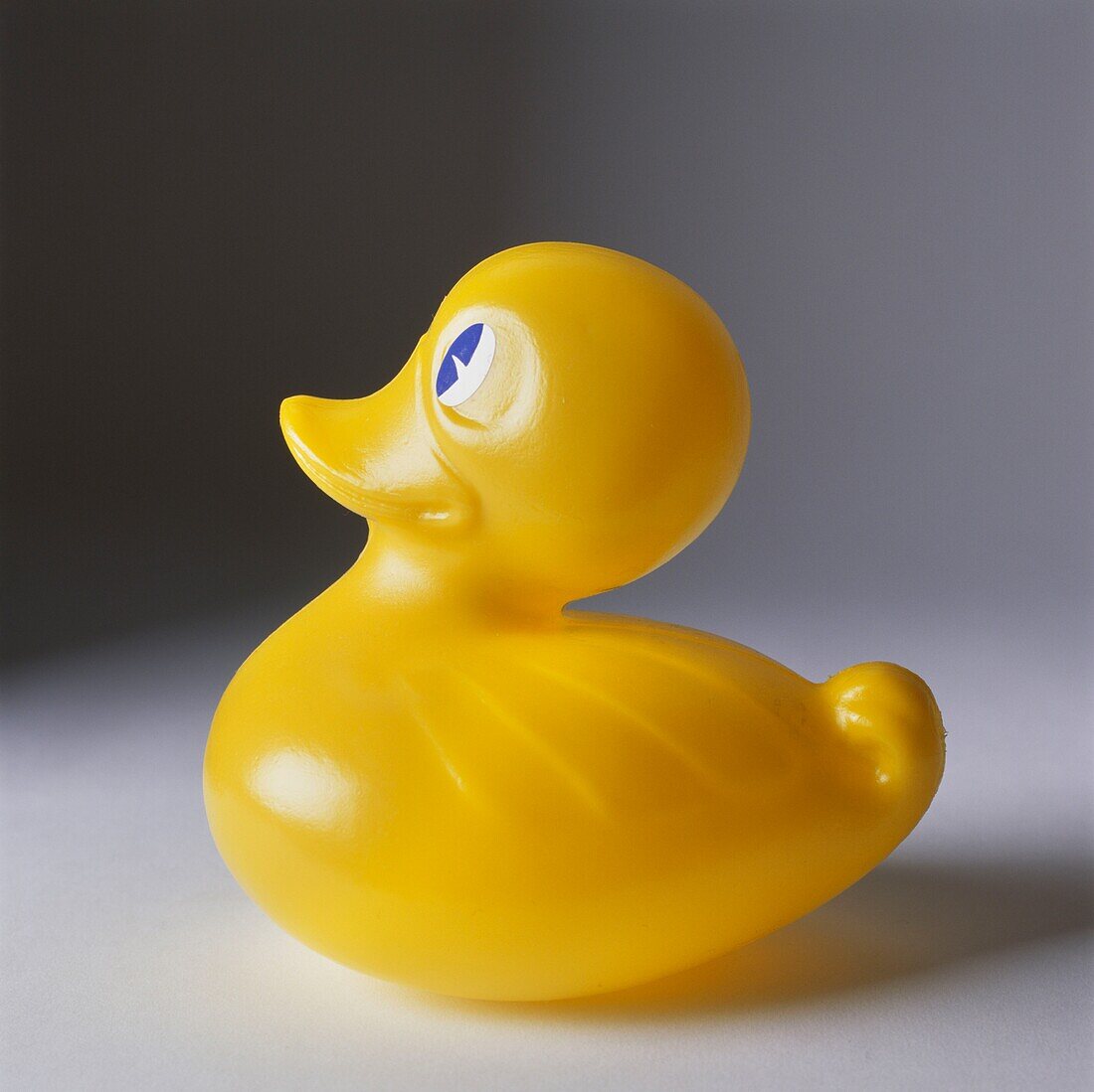 Plastic duck