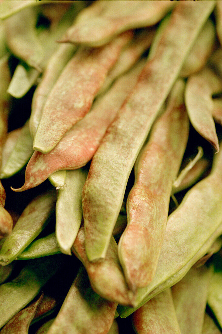 Borlotti-Bohnen oder Cranberry-Bohnen